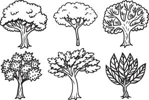 conjunto de arboles negro y blanco ilustración para colorante libro. vector