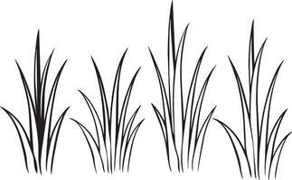 Set of black grass silhouettes isolated on white background. illustration. vector