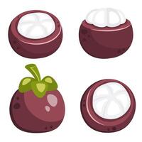 Set of mangosteens isolated on white background. Fresh exotic fruit in skin and pulp. Healthy nutrition. Sweet tropical organic food. flat cartoon illustration vector