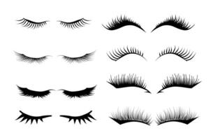 Different False Eyelashes. Female Lashes Extensions Sketch. Long black lashes set vector