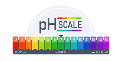 pH scale indicator chart diagram acidic alkaline measure. Acid-base balance infographic vector