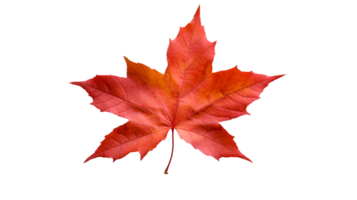 AI generated autumn leaves falling on a transparent background png