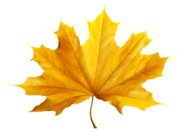 AI generated autumn leaves falling on a transparent background png