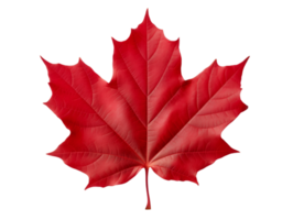 AI generated autumn leaves falling on transparent background png