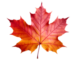 AI generated autumn leaves falling on transparent background png