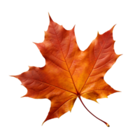 AI generated autumn leaves falling on a transparent background png