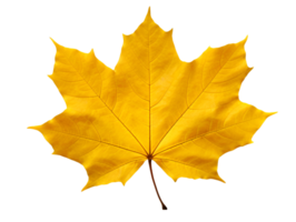 AI generated autumn leaves falling on transparent background png