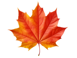 AI generated autumn leaves falling on transparent background png