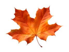 AI generated autumn leaves falling on transparent background png