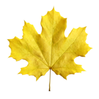 AI generated autumn leaves falling on transparent background png