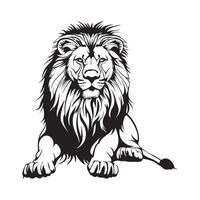 Lion sitting Design image. illustration of lion vector