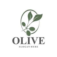 olive logo olive oil simple design design vector