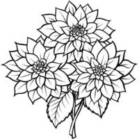 Dahlia Flower Bouquet outline illustration coloring book page design, Dahlia Flower Bouquet black and white line art drawing coloring book pages for children and adults vector