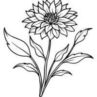 Cornflower flower plant outline illustration coloring book page design, Cornflower flower plant black and white line art drawing coloring book pages for children and adults vector