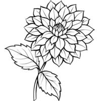 Dahlia flower plant outline illustration coloring book page design, Dahlia flower plant and white line art drawing coloring book pages for children and adults vector