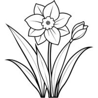 Daffodil flower plant outline illustration coloring book page design, Daffodil flower plant black and white line art drawing coloring book pages for children and adults vector