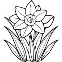 Daffodil flower plant outline illustration coloring book page design, Daffodil flower plant black and white line art drawing coloring book pages for children and adults vector