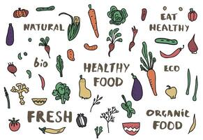 Healthy food concept with lettering. design vector