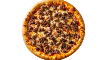 carne de vaca Pizza en transparente fondo, formato png