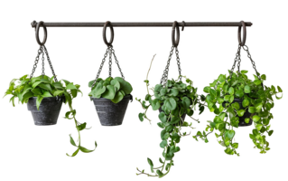 Iron Hooks for Hanging Plants on Transparent Background png