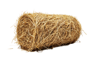 Cylinder Hay Portrait on Transparent Background png