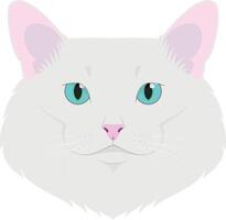 Turkish Angora cat isolated on white background illustration vector