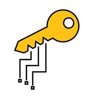 Digital Key Icon. Symbol of an electronic key. vector