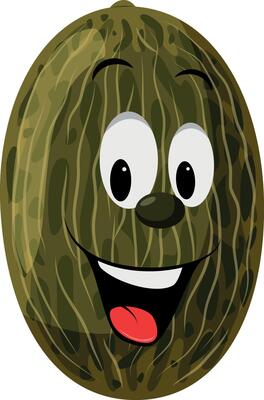 Fruits Characters Collection. illustration of a funny and smiling melon character.