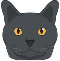 Chartreux cat isolated on white background illustration vector