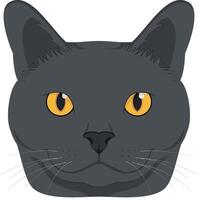 Chartreux cat isolated on white background illustration vector