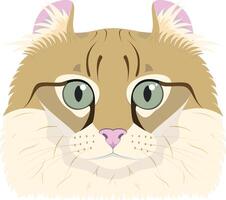 American Curl cat isolated on white background illustration vector