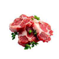 AI generated raw meat png