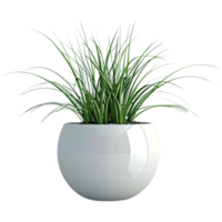 3D Rendering of a Green Plant in a pot on Transparent Background png