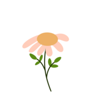 fleurs illustration png