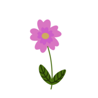 blommor illustration png