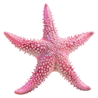 3d representación de un rosado estrella de mar en transparente antecedentes png