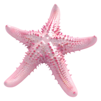 3d representación de un rosado estrella de mar en transparente antecedentes png