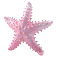 3d Renderização do uma Rosa estrelas do mar em transparente fundo png