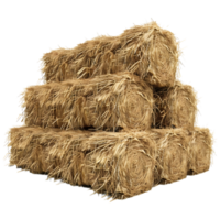 Stack of Hay on Transparent background png
