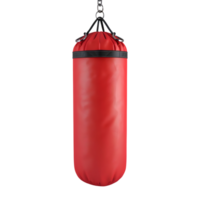 3D Rendering of a Punching Bag on Transparent Background png