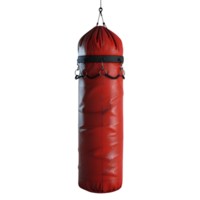 3D Rendering of a Punching Bag on Transparent Background png