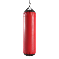 3D Rendering of a Punching Bag on Transparent Background png