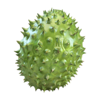 3D Rendering of a Soursop Fruit on Transparent Background png