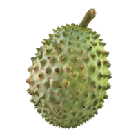 3D Rendering of a Soursop Fruit on Transparent Background png