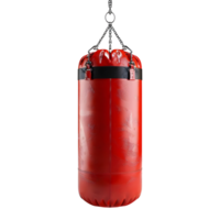 3D Rendering of a Punching Bag on Transparent Background png