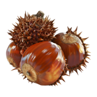 3D Rendering of a Chestnuts on Transparent Background png