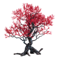 3D Rendering of a Tree with Red Leaves on Transparent Background png