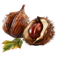 3D Rendering of a Chestnuts on Transparent Background png