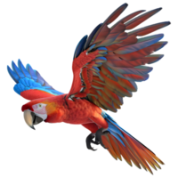 3d representación de un rojo guacamayo pájaro en transparente antecedentes png