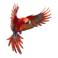 3D Rendering of a Red Macaw Bird on Transparent Background png